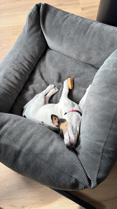 Doby