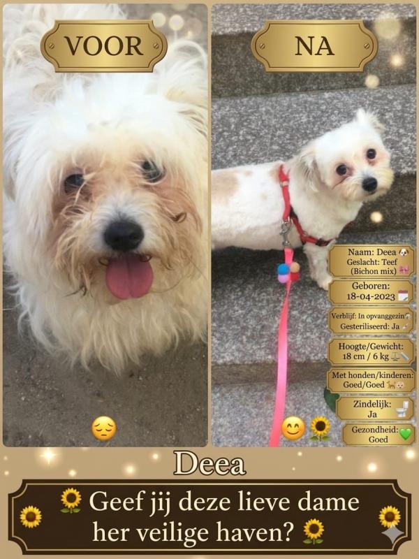 Deea