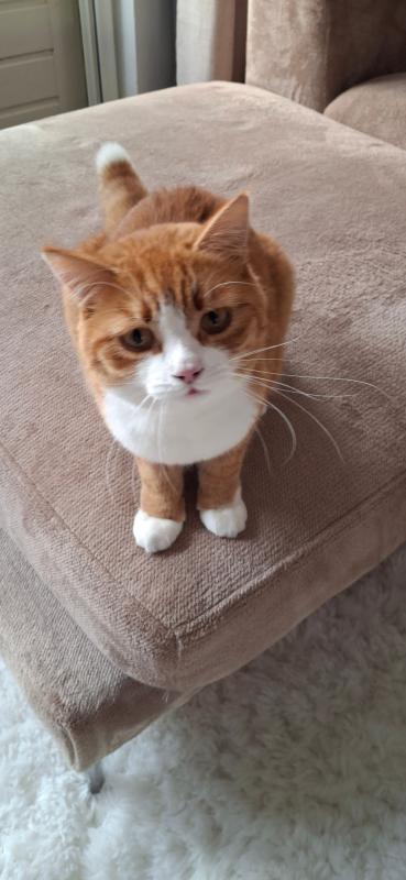 Coco