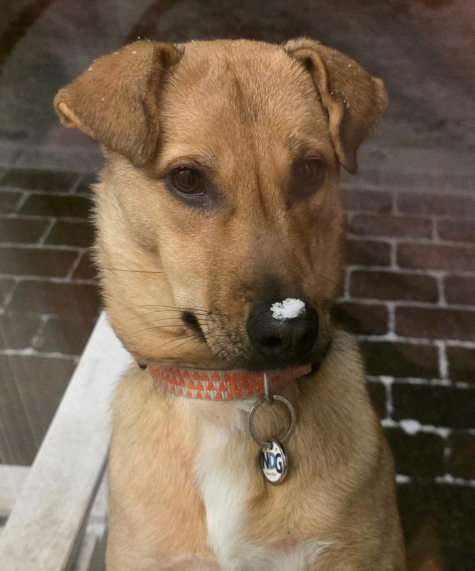Zoey