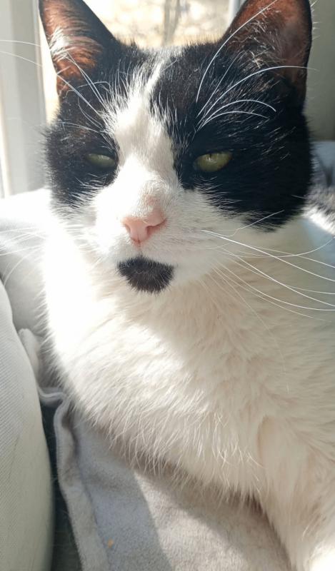 Joep