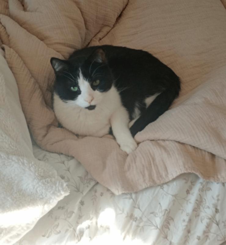 Joep
