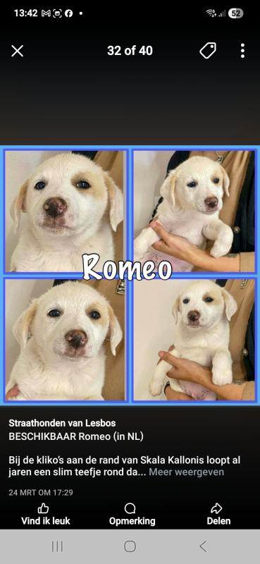 Romeo
