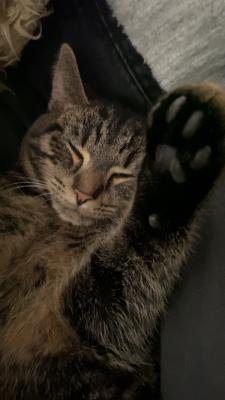 Luna