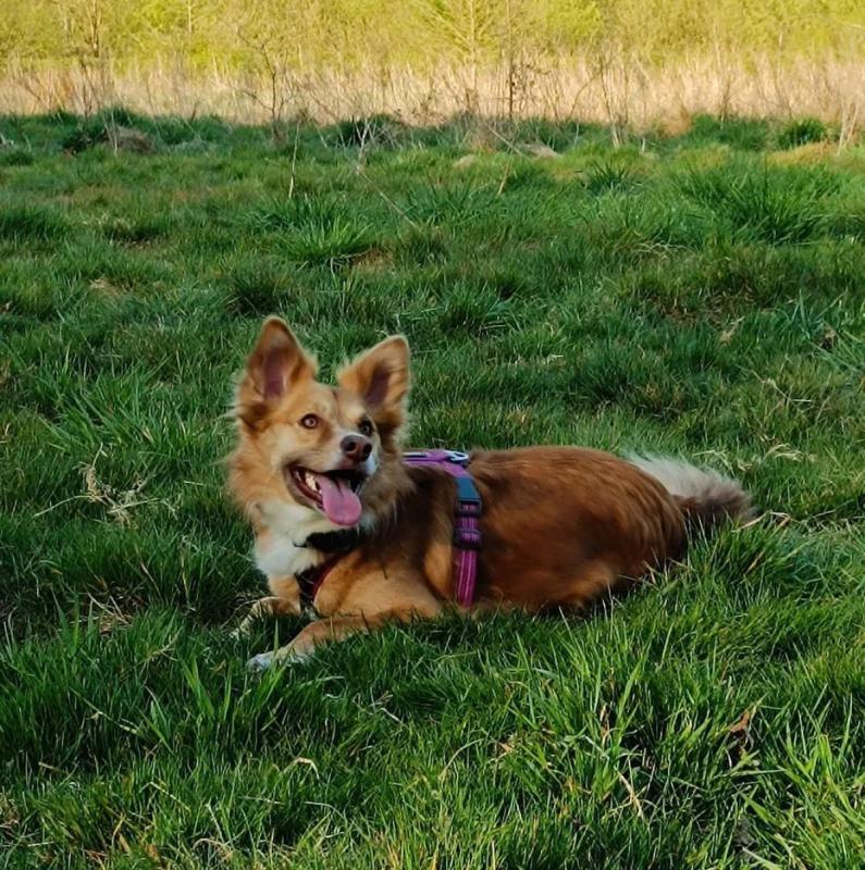 Lola