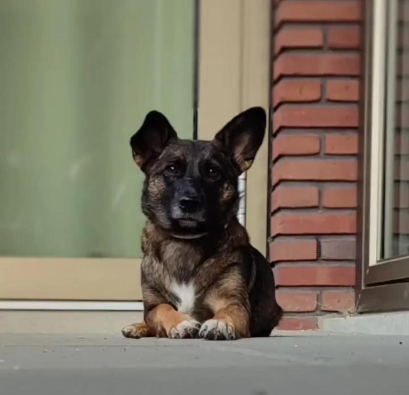 Molly