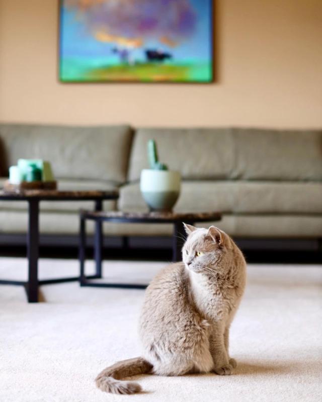 Kiko