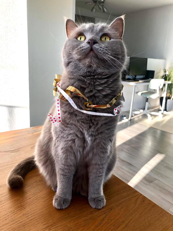 Kiko