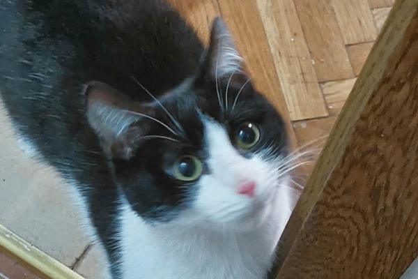 Sam