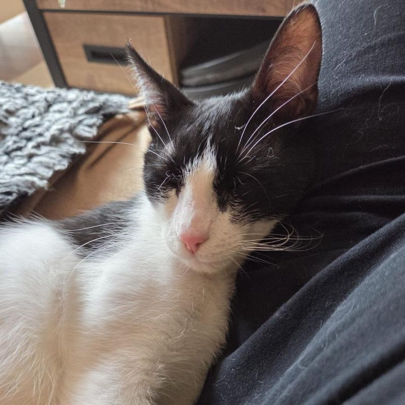 Sam