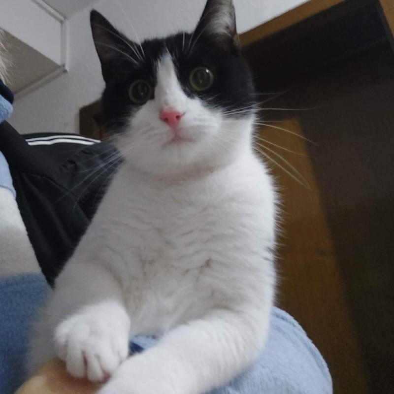 Sam
