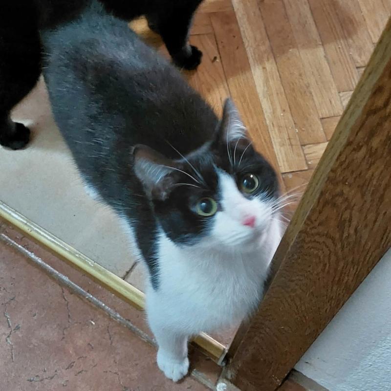 Sam