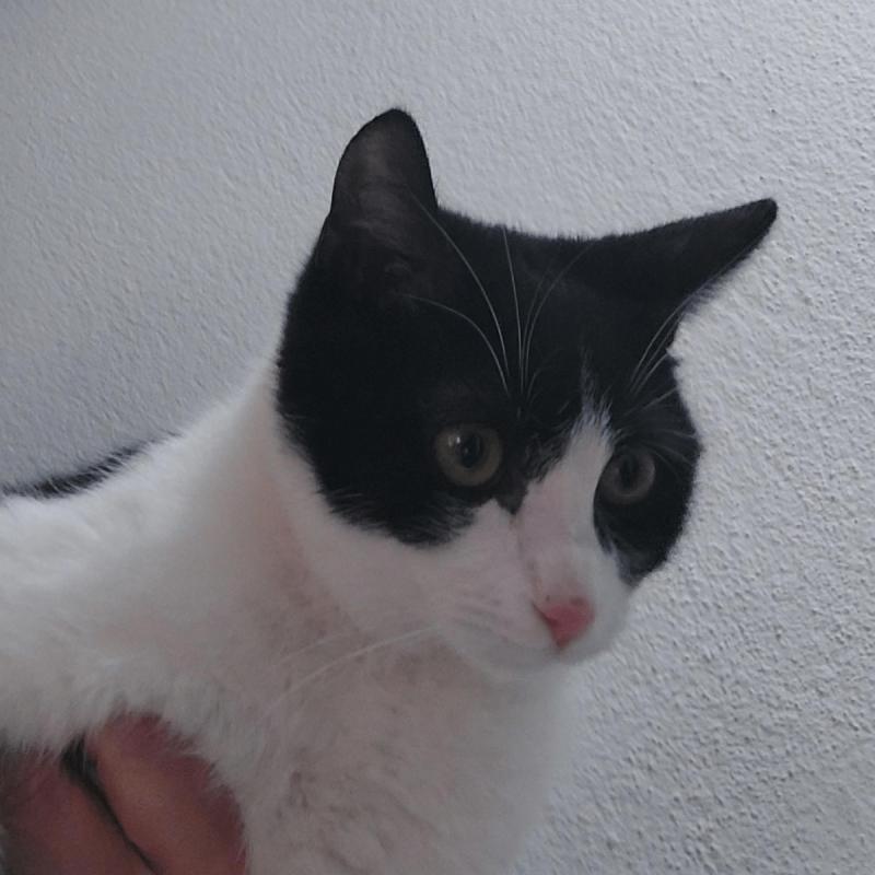 Sam
