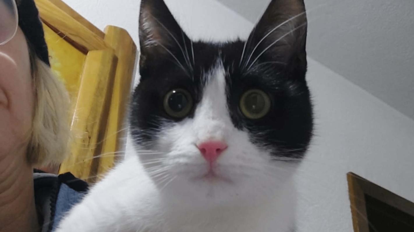 Sam