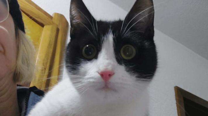 Sam