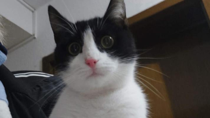 Sam