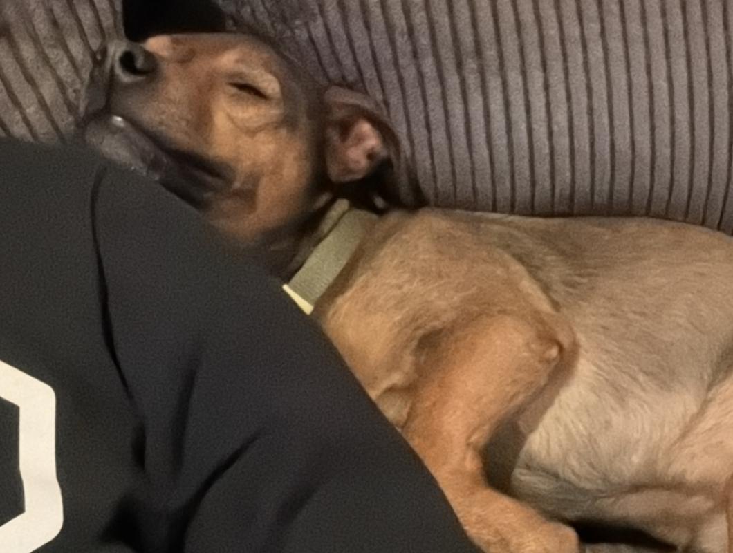 Cooper