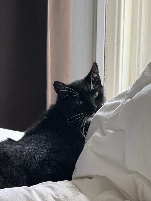 Olaf