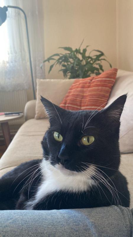 Pablo