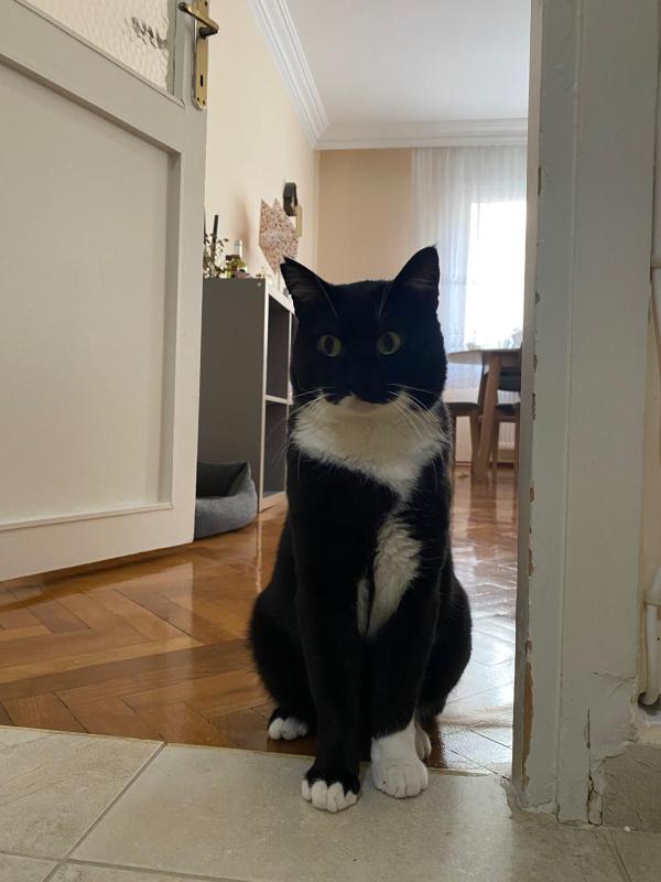 Pablo