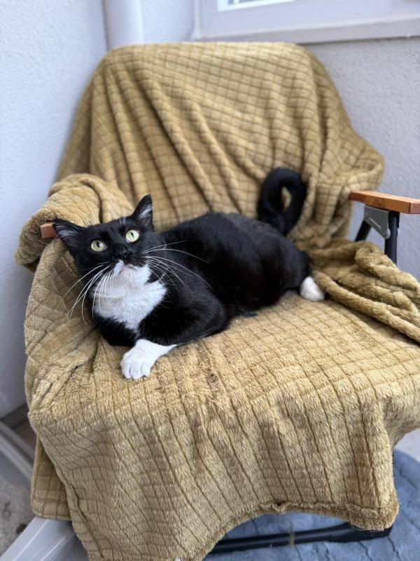Pablo