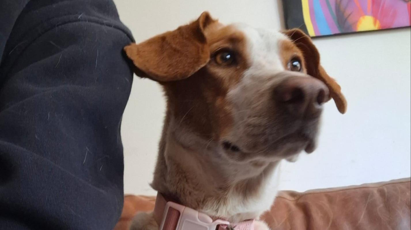 Lluna