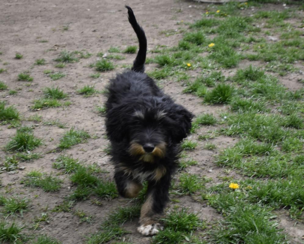 Baxter