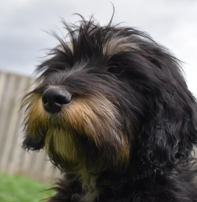 Baxter