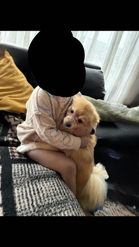 Cloë