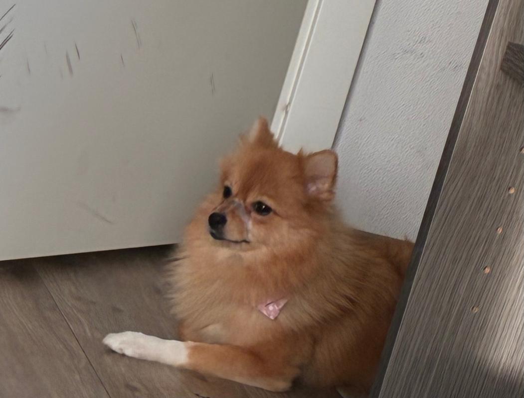 Cloë