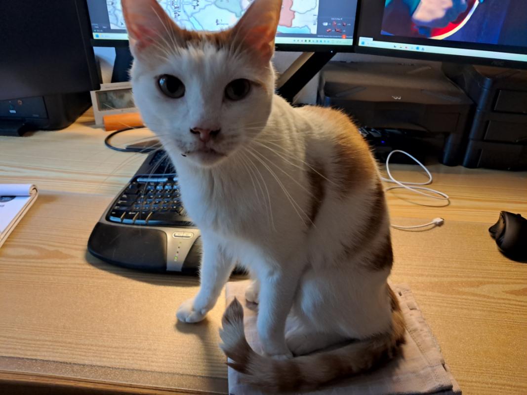 Pepper