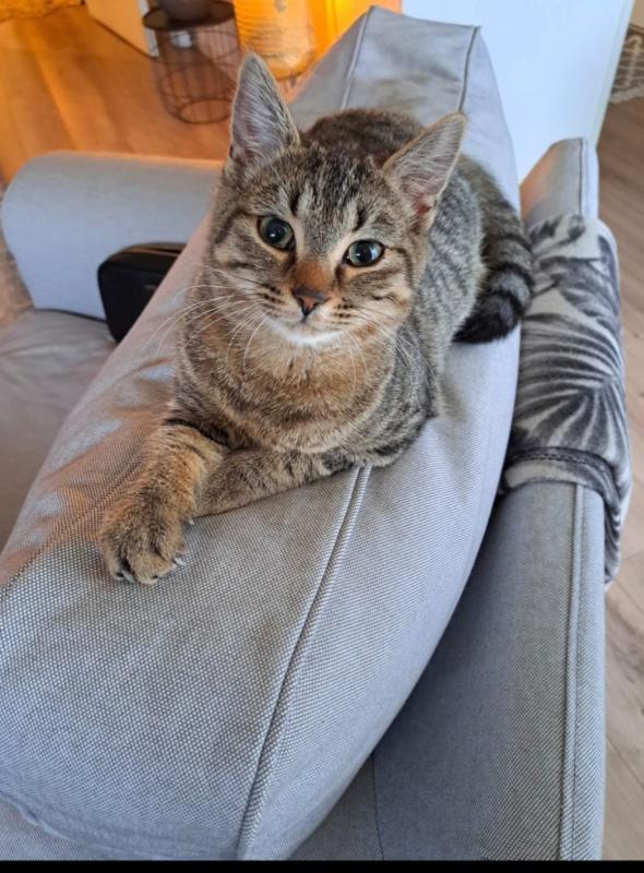 Mila