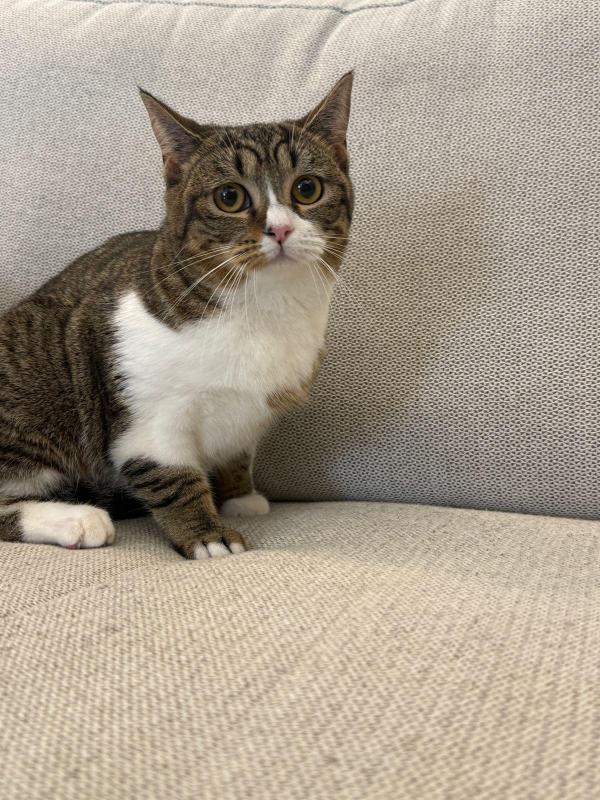 Rosie