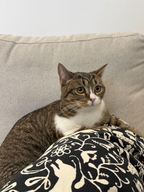Rosie