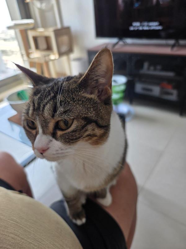Rosie