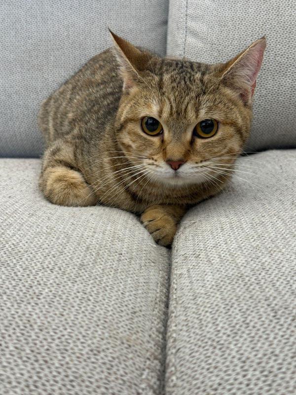 Mia