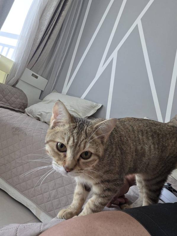 Mia