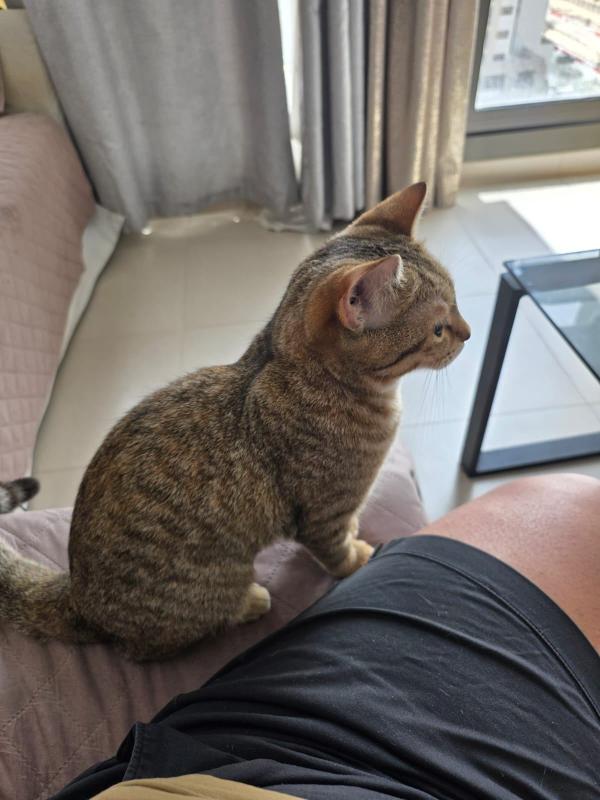 Mia