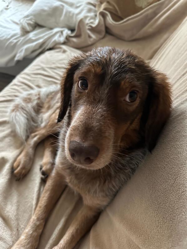 Pablo