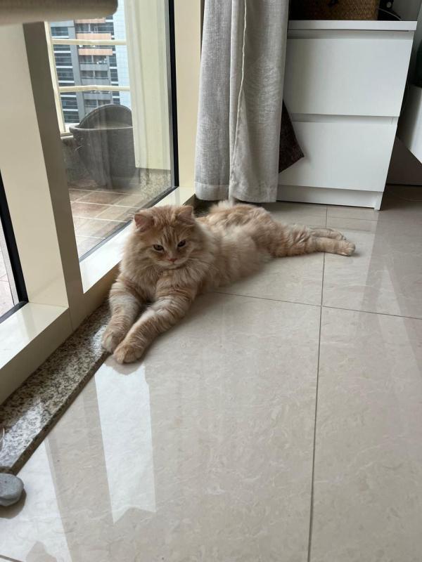 Leo