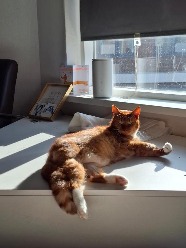 Pablo
