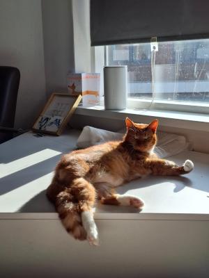 Pablo