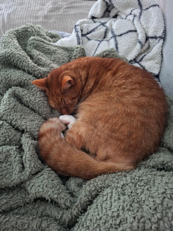 Pablo