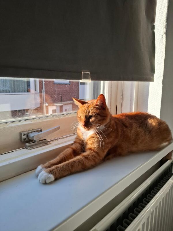 Pablo