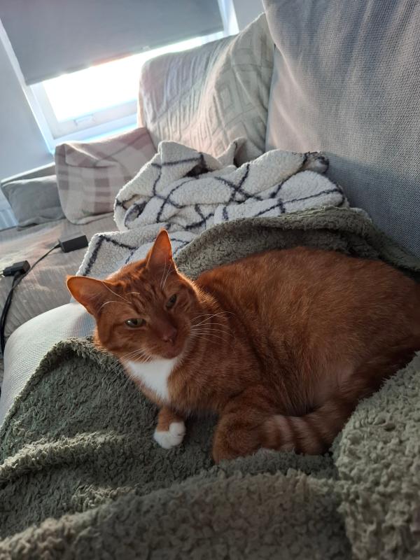 Pablo