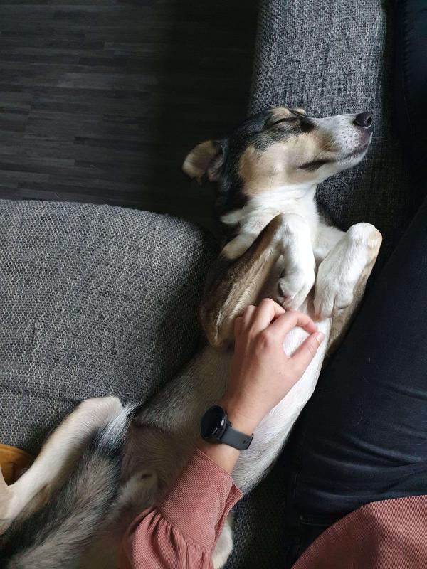 Floki