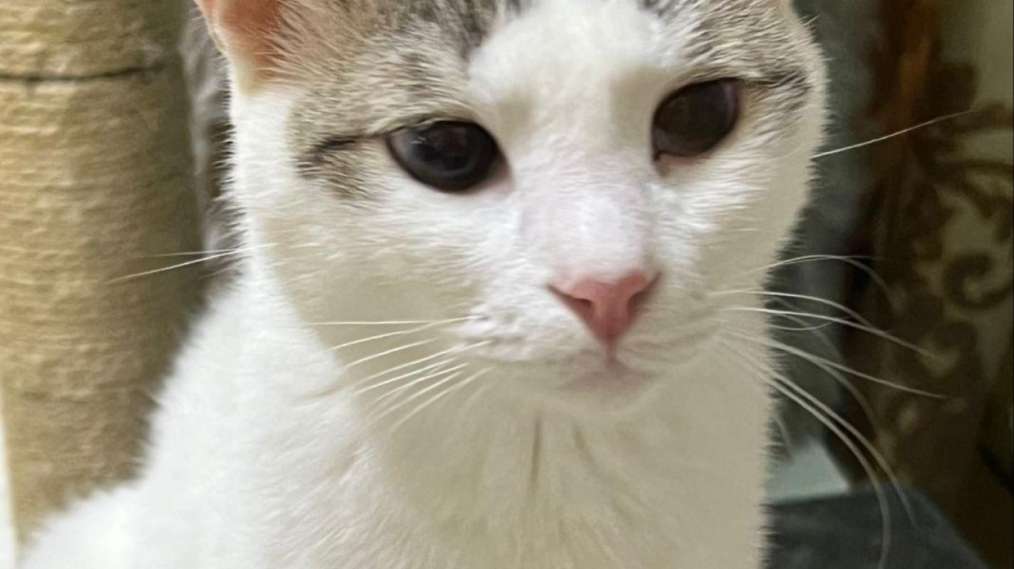 Milo