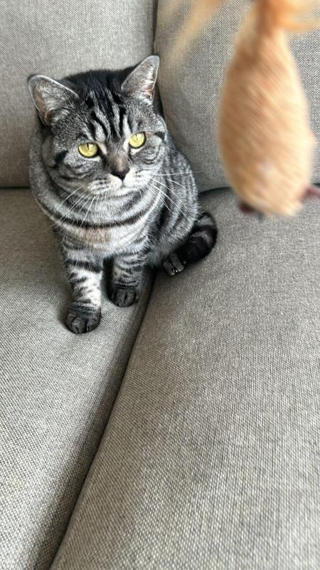 Charlie
