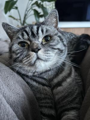 Charlie