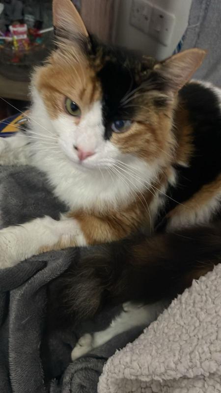 Esmeralda